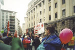 Foto di copertina
